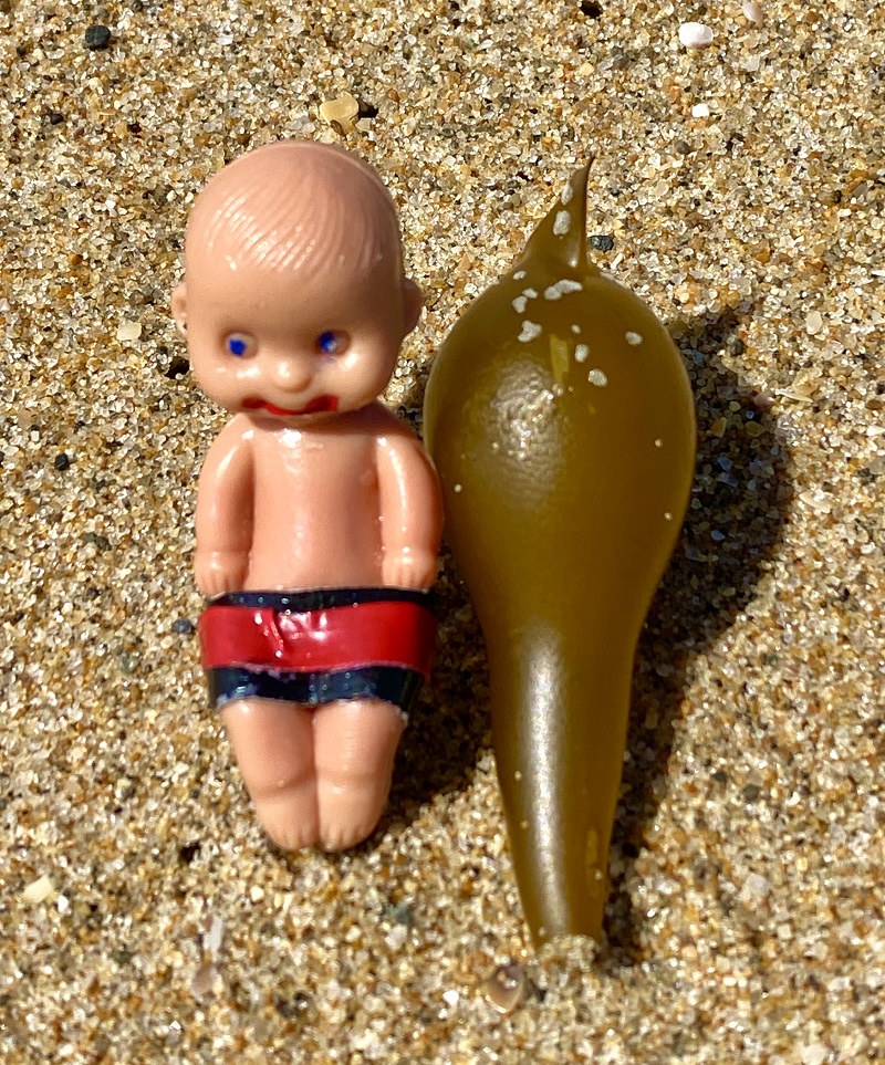 Brutus Baby and the Seashells 22